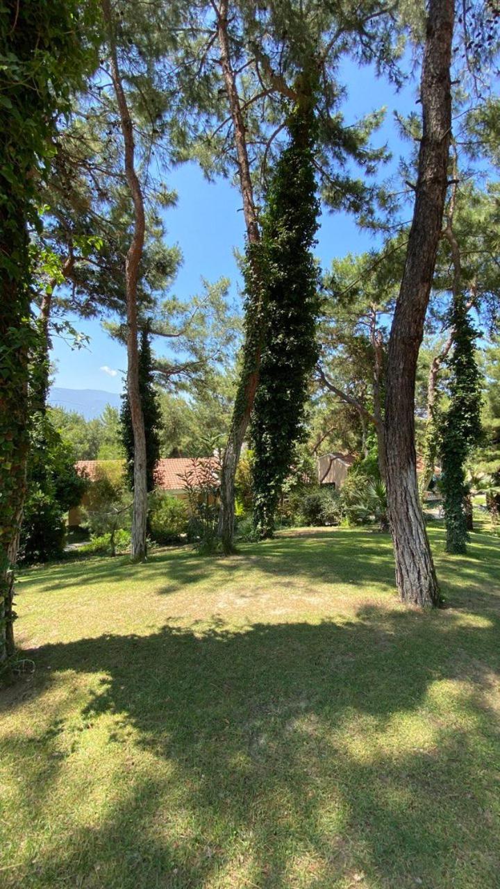 Pine Club Apart Hotel Kusadası Exteriör bild